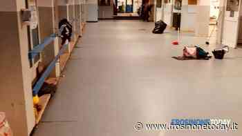 Colleferro, lavori alla Leonardo Da Vinci con il rifacimento del pavimento nell'atrio - FrosinoneToday