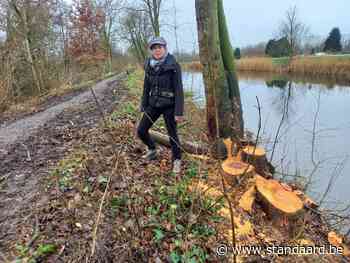 Verontwaardiging over onderhoud dijken Oude Dender (Dendermonde) - De Standaard