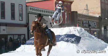 Skijoring: High-Speed, Animal-Powered Skiing - CFJC Today Kamloops