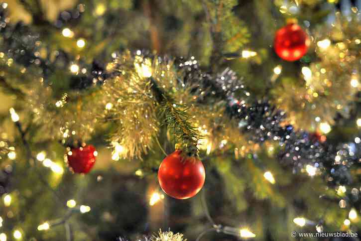 Kerstboom kan naar inzamelpunt of containerpark