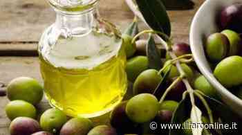 Minturno, torna "l'Olio delle Colline": al via la preselezione per individuare i 10 finalisti - Il Faro online