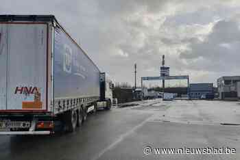 Dolgedraaide trucker (47) slaat politieagente in elkaar op parking: “Het geweld tegen onze mensen neemt toe”