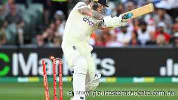 Synthetic pitches could help Poms: Warner - Gloucester Advocate