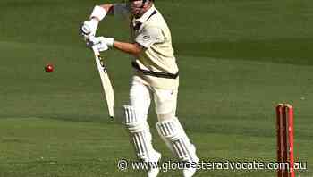 Warner reveals ambitions before retirement - Gloucester Advocate