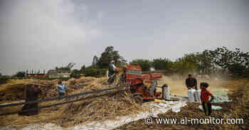 Egypt, Russia partner to ensure food security for Africa - Al-Monitor
