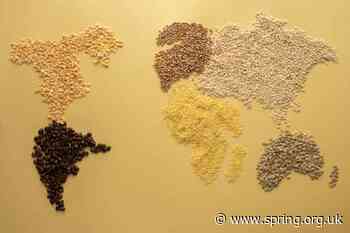 The Forgotten Staple Food That Helps Fight Diabetes - PsyBlog