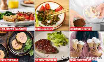 The future of Food? From 3D-printed meat-free steaks to edible insect burgers - Daily Mail