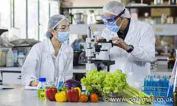 Food scientist wins £19,000 after boss fired him saying he was lying - Daily Mail