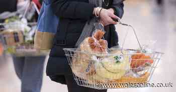 Best time to find discounted food at supermarkets - Wales Online