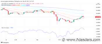 LINK Gains After Former Google CEO Eric Schmidt Joins Chainlink Labs - FX Leaders - fxleaders.com