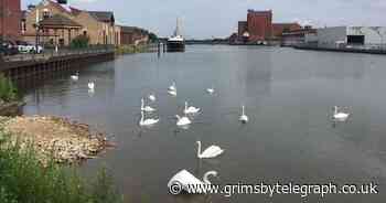 Rescuers save man from fall into Grimsby docks on Christmas Day - Grimsby Live