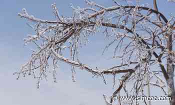 Snow and freezing rain possible in Innisfil, New Tecumseth, Angus, and Blue Mountains: Environment Canada - simcoe.com