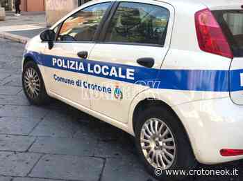 Crotone, ucciso un cagnolino con un petardo - CrotoneOK.it