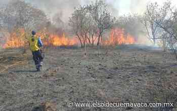 Quemas agrícolas y pirotecnia provocan incendios en Morelos - El Sol de Cuernavaca