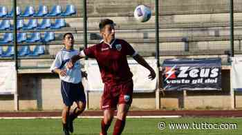 NOTIZIA TC - Modena, Castiglia piace a Legnago e Piacenza - Tutto Lega Pro