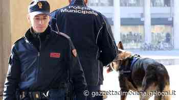 In casa a Modena custodivano 39 chili di droga, quattro arresti - La Gazzetta di Modena