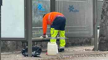 Modena, accoltellato per gelosia. Preso l’aggressore - il Resto del Carlino