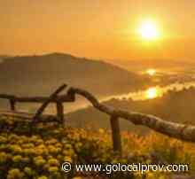 Kathryn “Kathy” E. Provost, of Wakefield, Dies at 72 - GoLocalProv