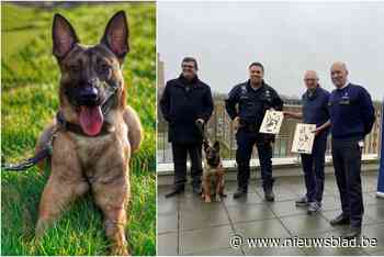 Houtbewerker maakt kunstwerk als eerbetoon aan politiehond Sam, die overleed in verkeersongeval: “Een klein gebaar kan wonderen doen”