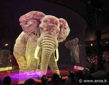 A Bari circo con ologrammi animali, Decaro 'è tempo di cambiare' - Agenzia ANSA