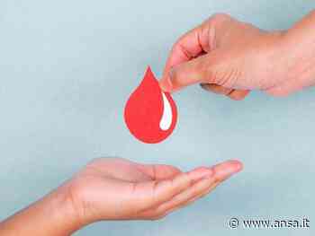 Raccolta straordinaria sangue a Bari, 30/12 a Parco 2 Giugno - Agenzia ANSA