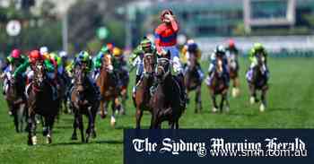 Racing year in review: partying jockeys, old man Ollie and a Verry special Melbourne Cup - Sydney Morning Herald