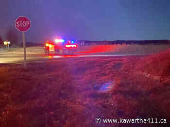 Highway 35 Near Bethany Closed In Both Directions After Fatal Crash - Kawartha 411 News