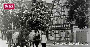 Lampertheim im Wandel der Zeit: Die Römerstraße - Echo Online