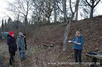 Lampertheimer auf mystischer Wanderung zur Wintersonnenwende - Lampertheim - Nachrichten und Informationen - Mannheimer Morgen