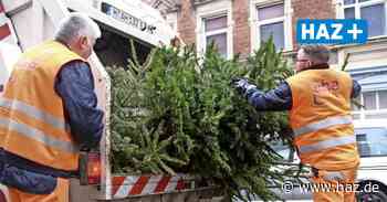 Burgdorf Lehrte Sehnde Uetze: Abfuhr der Weihnachtsbäume durch Aha - Hannoversche Allgemeine