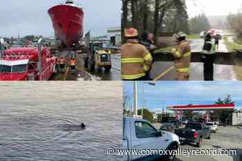 2021 in videos: Greater Victoria's top footage for the year – Comox Valley Record - Comox Valley Record