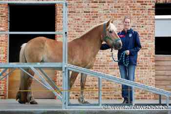 Warmste Sportweek brengt 6.500 euro op voor JOTH en beleefboerderij Het Eigen Zijn