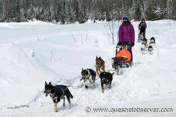 Quesnel year in review: February - Quesnel - Cariboo Observer