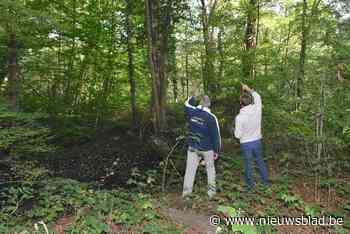 Stad kan Bos van Loos in Muizen aankopen  dankzij Vlaamse subsidie van 560.000 euro