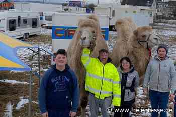 Zirkus Atlantik sitzt in Reichenbach fest: Keine Vorstellungen, keine Einnahmen - Freie Presse