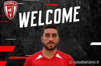 MERCATO SERIE D: IL CENTROCAMPISTA NICOLO' SCALINI PASSA DAL LENTIGIONE AL FORLI' - Solo Dilettanti