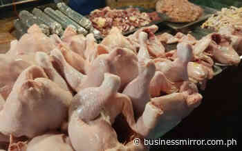 Broiler raisers demand investigation of reported China poultry importation | Jasper Y. Arcalas - Business Mirror