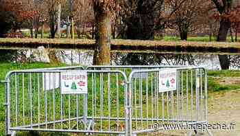 Montech. Des récup’sapins dans tous les quartiers - ladepeche.fr