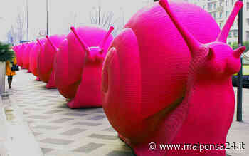 Grandi sculture di animali dal tocco green. La Cracking Art colora Gallarate - MALPENSA24 - malpensa24.it