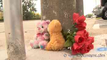 Suspect in Deadly Wilton Manors Hit-and-Run Crash Has Outburst in Court