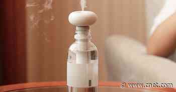 Best portable humidifier for 2022     - CNET