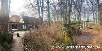 Uneinigkeit: Kann Kinderburg an der Burgstraße vergrößert werden? | Stadtlohn - Halterner Zeitung