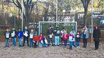 Eröffnung in Schramberg - Ballspielgelände Höfle steht nun jungen Kickern zur Verfügung - Schwarzwälder Bote