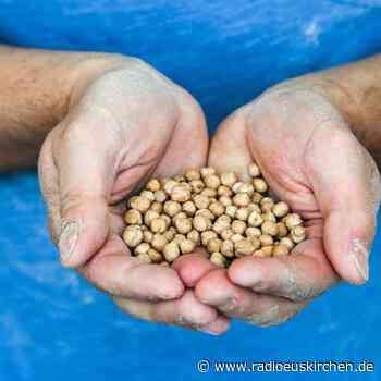 Hülsenfrüchte punkten nun als Superfood - radioeuskirchen.de