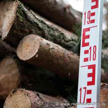 Böschungsarbeiten an L203 bei Sötenich - radioeuskirchen.de