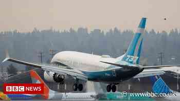 Boeing 737 Max: Indonesia lifts ban after 2018 Lion Air crash