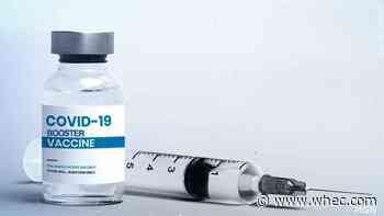 WHO: New COVID variants could emerge that resist current vaccines