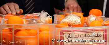 La drogue était dissimulée dans... de fausses oranges