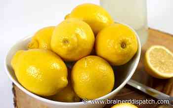 Ask the Master Gardener: There are many ways to add lemon flavor to your cooking - Brainerd Dispatch
