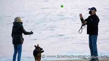 Corona in den USA: Warum Joe Biden so schwer zu kämpfen hat